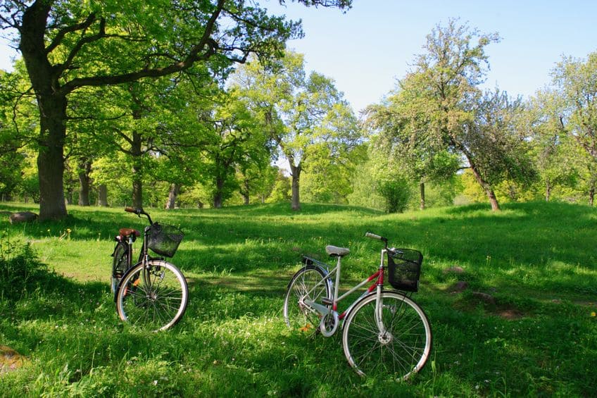 New Jersey Parks